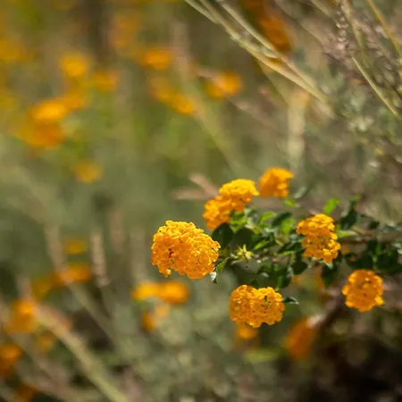 Rabia - Elegant Sea-view Retreat In Mousata, Kefalonia Mousata